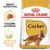 ROYAL CANIN Croquettes Cocker Adult