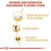 ROYAL CANIN Croquettes Cocker Adult