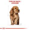 ROYAL CANIN Croquettes Cocker puppy Sac de 3 kg