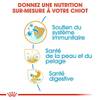 ROYAL CANIN Croquettes Cocker puppy Sac de 3 kg