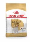 ROYAL CANIN Croquettes Jack Russell Terrier Adult