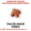 ROYAL CANIN Croquettes Jack Russell Terrier Adult