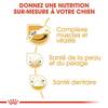 ROYAL CANIN Croquettes Jack Russell Terrier Adult