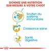 ROYAL CANIN Croquettes Jack Russell Terrier puppy