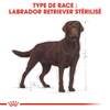 ROYAL CANIN Croquettes Labrador Retriever Sterilised sac de 12 kg