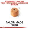 ROYAL CANIN Croquettes Labrador Retriever Sterilised sac de 12 kg