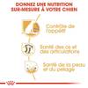 ROYAL CANIN Croquettes Labrador Retriever Sterilised sac de 12 kg