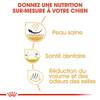 ROYAL CANIN Croquettes Shih Tzu Adult