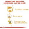 ROYAL CANIN Croquettes West Highland Terrier Adult