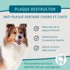 Plaque Destructor anti-tartre Dental Plus Bubimex pour chien et chat
