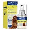 Spray anti-stress transport pour chien