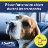 Spray anti-stress transport pour chien