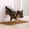 Chatière pour chien et chat en aluminium Staywell PetSafe