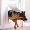 Chatière pour chien et chat en aluminium Staywell PetSafe