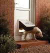 Chatière blanche 2 positions Staywell PetSafe pour Chien et Chat