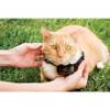Système anti-fugue PetSafe pour chien