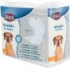 Couche pour chien incontinent