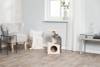Petit arbre à chat et chaton beige