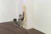 Griffoir mural pour chat