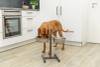 Support gamelle double L pour chien