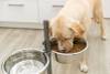 Support gamelle double XL pour chien