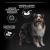 PRO PLAN Medium Adult Sensitive Digestion agneau pour chien
