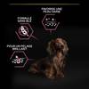 PRO PLAN Small & Mini Adult OptiDerma pour chien