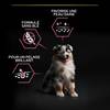 PRO PLAN Medium Puppy OptiDerma pour chiot