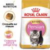 ROYAL CANIN Croquettes Kitten Persian chaton