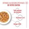 ROYAL CANIN Kitten Instinctive en gelée