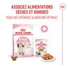 ROYAL CANIN Kitten Instinctive en gelée