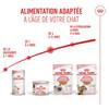 ROYAL CANIN Kitten Instinctive en gelée