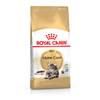 ROYAL CANIN Croquettes Maine Coon