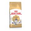 ROYAL CANIN Croquettes Norwegian Forest