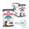 ROYAL CANIN Hairball Care en sauce 12 x 85 g pour Chat