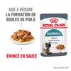 ROYAL CANIN Hairball Care en sauce 12 x 85 g pour Chat