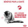 ROYAL CANIN Hairball Care en sauce 12 x 85 g pour Chat