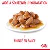 ROYAL CANIN Hairball Care en sauce 12 x 85 g pour Chat