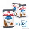 ROYAL CANIN Light Weight Care en gelée 12 x 85 g pour Chat