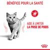 ROYAL CANIN Light Weight Care en gelée 12 x 85 g pour Chat