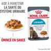 ROYAL CANIN Urinary Care en sauce 12 x 85 g pour Chat