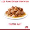 ROYAL CANIN Urinary Care en sauce 12 x 85 g pour Chat