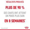 ROYAL CANIN Sachet fraîcheur Light Weight Care en sauce 12 x 85 g pour Chat