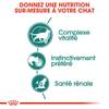 ROYAL CANIN Instinctive +7 en sauce 12 x 85 g pour Chat