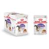 ROYAL CANIN Sterilised en sauce