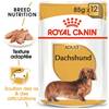 ROYAL CANIN Sachet fraîcheur Teckel (Dachshund) 12 x 85 g