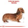 ROYAL CANIN Sachet fraîcheur Teckel (Dachshund) 12 x 85 g