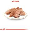 ROYAL CANIN Sachet fraîcheur Teckel (Dachshund) 12 x 85 g