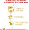ROYAL CANIN Sachet fraîcheur Chihuahua 12 x 85 g