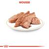 ROYAL CANIN Sachet fraîcheur Caniche 12 x 85 g